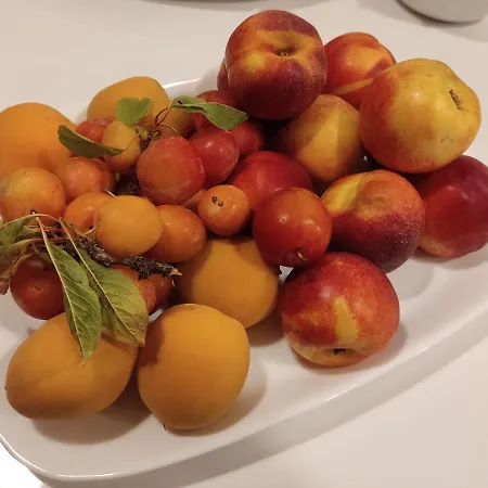 Oda ve Kahvaltı Natura E Mente E Relax