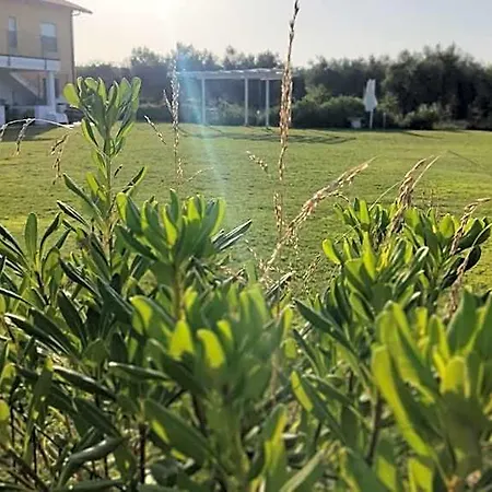 Natura E Mente E Relax 4*