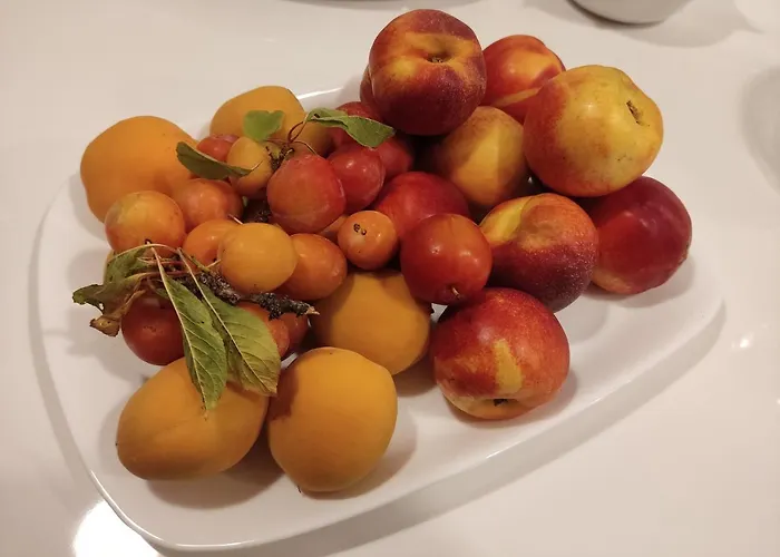 Alojamento de Acomodação e Pequeno-almoço Natura E Mente E Relax