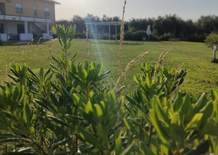Natura E Mente E Relax Alojamento de Acomodação e Pequeno-almoço 4*
