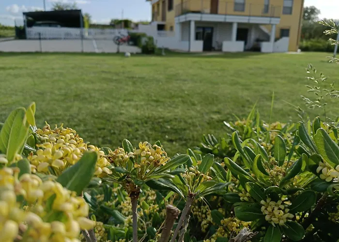 Alojamento de Acomodação e Pequeno-almoço Natura E Mente E Relax Vasto